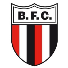 Botafogo Sp Youth