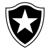 Botafogo Rj Youth