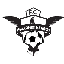 Halcones Negros