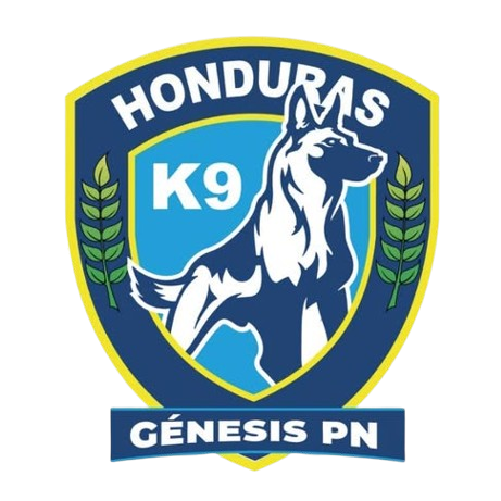 Génesis PN