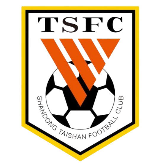 Taishan Football School U16