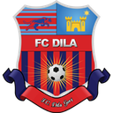 Logo Dila Gori