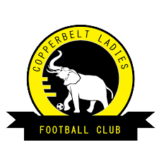 Copper Belts FC(w)
