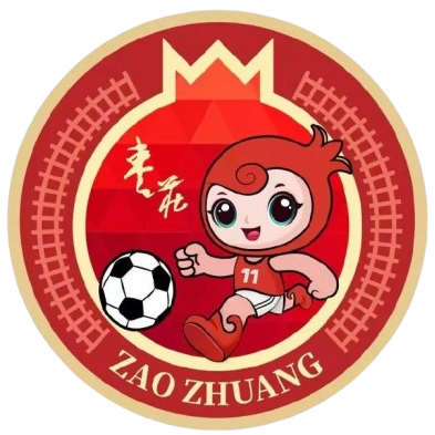 Zaozhuang Team